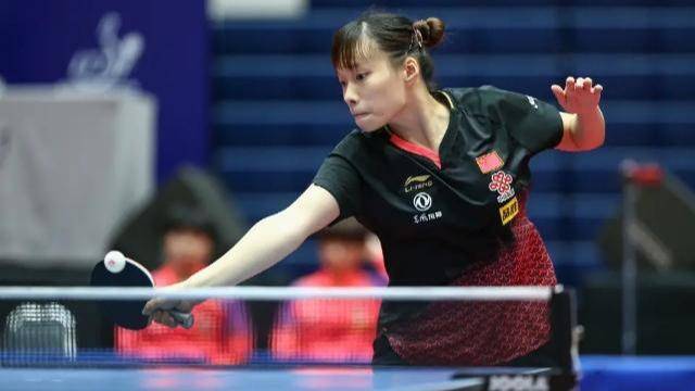 球迷的高度 球迷的高度